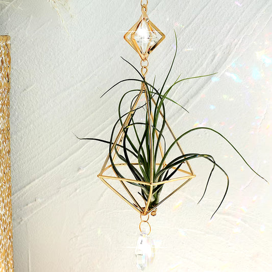 Garden Suncatchers Gold Hanging Air Plant Holder Tillandsia Air Plants Hanger Air Fern Display Planter with Crystal Home Decor